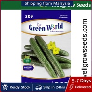 Cucumber Japanese (20 seeds) 日本风味黄瓜  Biji Benih Timun Jepun Green World GW309