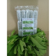 5 BAGS OF GUAVA TEA to try 5 days 10 grams-14 grams