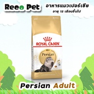 Royal canin Persian Adult 10 Kg อาหารแมวโตพันธุ์เปอร์เซีย