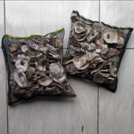 Oyster shell Filter 30 x 30 cm 1.5 kg