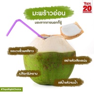 🌴🌴มะพร้าวน้ำหอมสด🌴🌴  - Coconut มะพร้าวน้ำหอมสด | ยกลูก ตัดสด ทุกวัน 🌈 รับมะพร้าวอะไรดีค่ะ 🥥 มะพร้าวเผา... ดื่ม 7 วัน เพื่อสุขภาพที่ดี