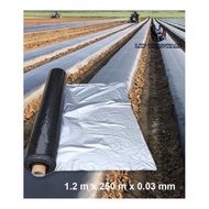 【10 meters/20 meters 】Penutup Tanah | High Quality Black Silver Mulching Flim with UV bumi fertigasi tanaman plastik