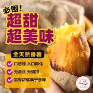 冻烤番薯 suipoteto 即食番薯 Roasted Sweet Potato Ready to eat potato sweet potato 真空包装 温室可储存6个月