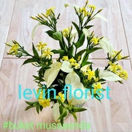 Mussaenda flava / nusa indah kuning / bibit tanaman hias bunga outdoor