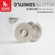 Diamond Plate 1YY1H-E-SDC100-D90-T20-X25-H12.7