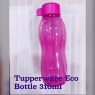 Tupperware Eco Bottle (310ml)