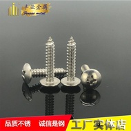 Large Flat Head Stainless Steel 201 Round Head Self-Tapping Screw Self-Tapping Screw Phillips M3.9 M