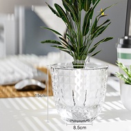 Transparent Hydroponic Pot Self Watering Planter Pots  Balcony Garden Planter Home Decoration 水培植物花盆