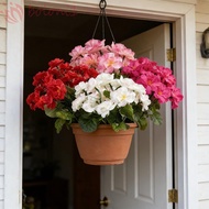 [COD] Artificial Begonia Flowers, Realistic UV Protection Silk Begonia Flower, Festival Wreath Flora