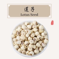 Lotus Seed Lotus Seed 100g