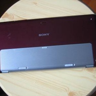 sony VGN-P15G
