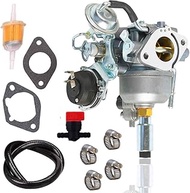 541-0765 Carburetor+fuel line +Fuel Filter for Onan Generator 541-0765 48-2042 141-0983 141-0982 146