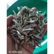 Ikan Bilis Tamban Kecil