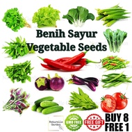 Biji Benih Sayur Sayuran Vegetable Seed Kebun Benih Sayur Buah Terung Kacang Cili Pokok Bunga Tanah Tanaman Hidroponik