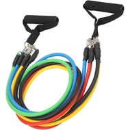 Band Set Workout Bands Exercise Bands for Men Women Exercise Bands with Door Anchor Handles Legs Ank