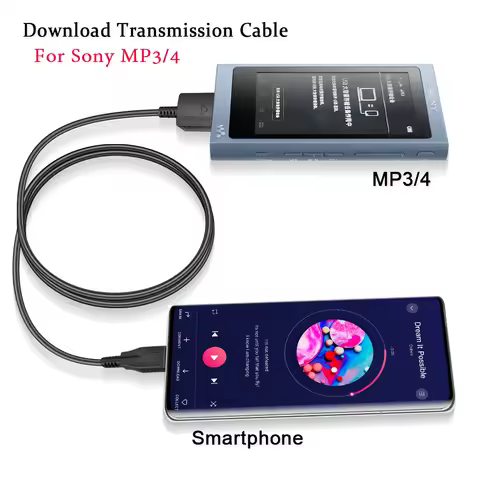 for Sony Walkman audio decoding cable for NW-Z1X,ZX2,XZ300A,ZX700,A35,A36,A45,A55;Sony to TYPE-C por