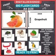 PDF BIG Flash Card for baby kids toddler preschool pdf flash card animal, alif ba ta, body part, dai