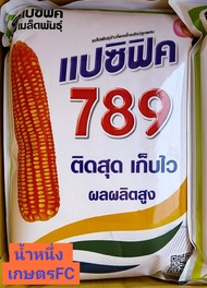 เมล็ดพันธุ์ ข้าวโพด เลี้ยงสัตว์ 789แปซิฟิก บรรจุ 5 กก. ฟักสีส้มสวยมาก ไก่ชน เป็ด ไก่ชอบ