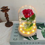 日本大地農園永生玫瑰玻璃罩 美女與野獸玫瑰 小王子玫瑰