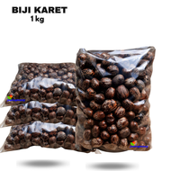Biji Karet Kiloan Bibit Karet Biji Mengkilat