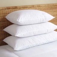 Square Pillow Insert 40x40, Pillow Insert 40x60, 50x70, Pillow Insert 35x100 Kim Thanh Premium Ball 
