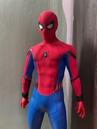 1:4 Spiderman Hottoys 蜘蛛俠