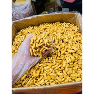 Crispy Fish-shaped Salty Crackers – Fragrant Snack, Mild Salty Taste, Large Jar
