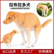 Solid Children Simulation Animal Toy Animal Model Half Squat Labrador Hound Dog Cognitive Gift Decor