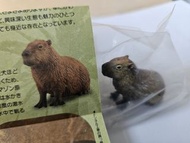 日本版 水豚 海豚 海洋堂  小動物   扭蛋  玩具 V3