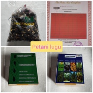 bibit kecambah polong sawit SOCFINDO UNGGUL