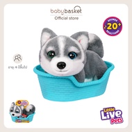 Little Live Pets My Really Real Puppy S2 Mini สุนัขเพื่อน 4 ขา แสนรักในขนาดมินิสุดน่ารัก!
