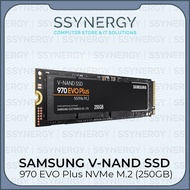 Ssd Samsung 970 EVO Plus 250GB
