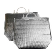 Guangdong Aluminum Foil Insulation Bag Portable Shopping Bag Aluminum Foil Pearl Cotton Handle Bag