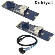 [Kokiya1] M.2 NVMe to SFF 8087 3.0 Expansion Card Controller Adapter Card 4x 3.0 Interfaces for Wind