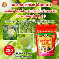 ปุ๋ยสตาร์เฟอร์ 0-0-60 สูตรเร่งผล ดันลูก ดกใหญ่ เพิ่มน้ำหนัก สำหรับต้นน้อยหน่า