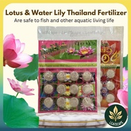 THAILAND FERTILIZER FOR LOTUS &amp; WATER LILY Baja Lotus 12 Tablets BajaTumbuhan Air Baja Teratai NPK 9-23-20