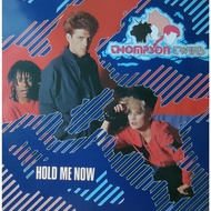 Thompson Twins - Hold Me Now Vinyl Record