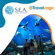SEA (sea/S.E.A) Aquarium e-Ticket