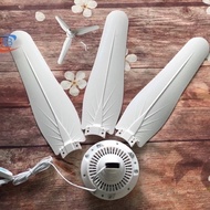 Genuine 3-blade, 5-blade, 6-blade ceiling fan
