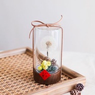 心願蒲公英玻璃罐