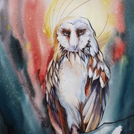 The owl. Bird watercolor painting on paper