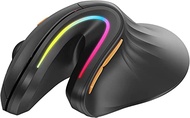 ProtoArc Ergonomic Mouse Wireless, EM11 Bluetooth Vertical Ergo Mouse, Rechargeable, 2.4G RGB Optica