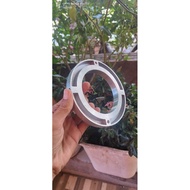 Ring master cup sealer to upgrade to 22oz cups