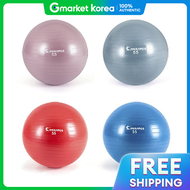 IWANNA | I Wanna Anti-Burst Gym Ball 55cm Maternity Gym Ball Yoga Pilates Ball Stretching Ball