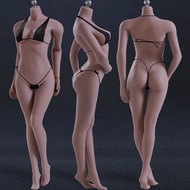 [Boutique] TBLeague 1/6 Wheat Color Steel Bone Rubberized Female Body S02A S06B S09C S12D