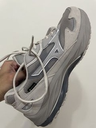 Mizuno Wave Rider Beta GTX