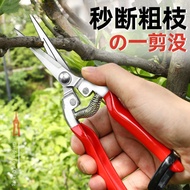 Pruning Shears for Fruit Trees and Flower Branches, Garden Fruit Picking Scissors, Grape Picking She