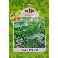 PREMIUM CORIANDER  SEEDS Biji benih ketumbar Coriander seed 芫荽种子 Ander 661 Advansia 500 seeds