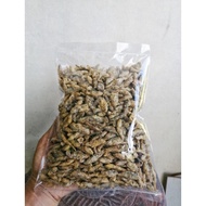 NEW Makanan Camilan Wader Goreng Krispi Wader Crispy Ikan Sungai Iwak
