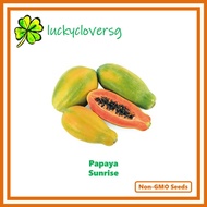 Papaya - Sunrise Solo Type - *Seeds from SG*